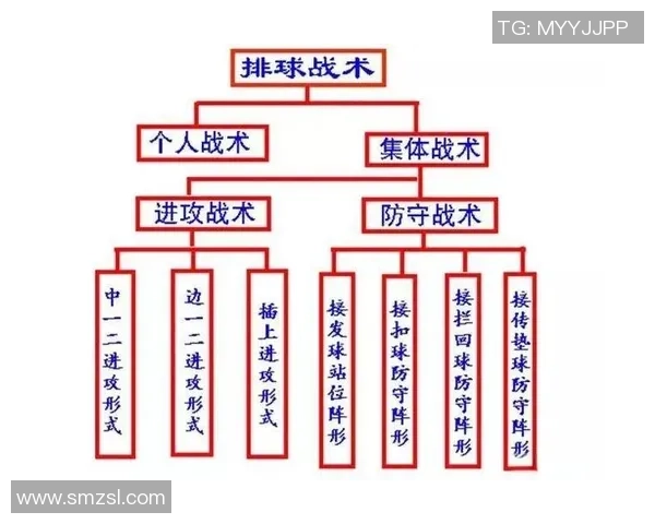 西安排球队战术解析与排球比赛策略深度剖析