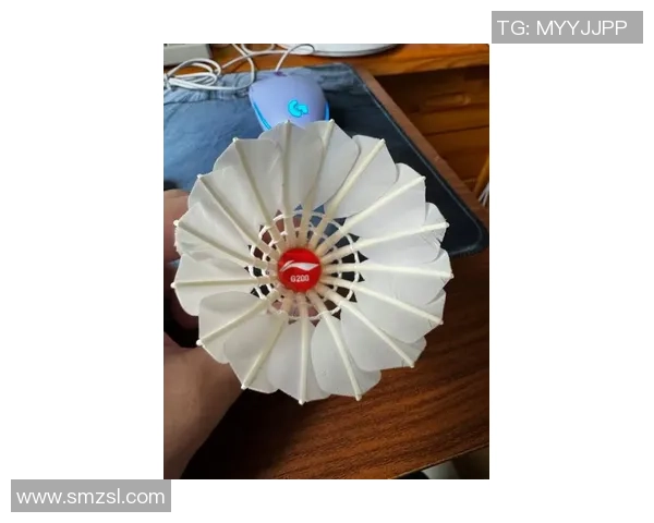 重庆羽毛球队实力强劲荣登全国羽毛球力量排行榜第四名