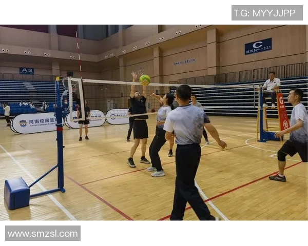 广州排球队团队协作变革引发热议展现新风貌与竞技精神