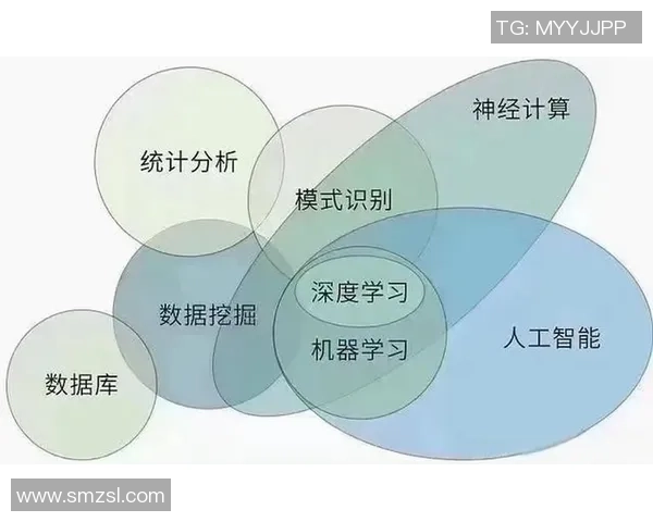 武汉排球队耐力表现数据分析与训练策略探讨