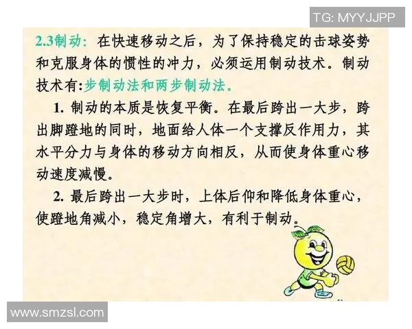 重庆排球队总决赛战术解析与表现评估全面分析