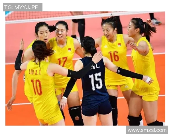 广州排球队总决赛战术分析与表现评估全面解读