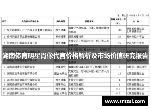 湖南体育明星肖像代言价格解析及市场价值研究报告