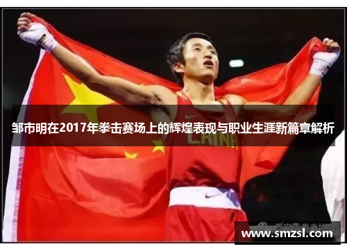 邹市明在2017年拳击赛场上的辉煌表现与职业生涯新篇章解析
